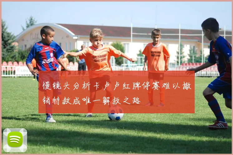 慢镜头分析卡卢卢红牌停赛难以撤销特赦成唯一解救之路