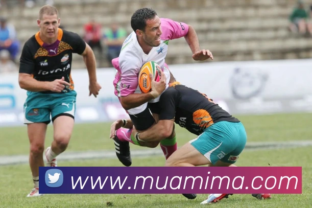 赛事专题整合